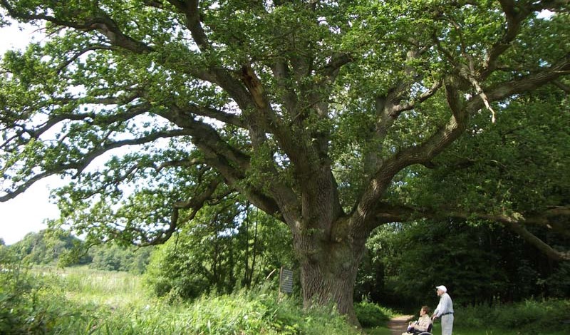 Stress af og lad maskerne falde