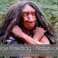 Menneskedyret Homo sapiens // livestreamet foredrag fra Aarhus Universitet
