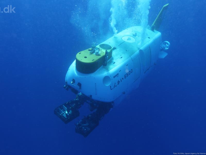 Dybhavet – nyt fra en ukendt verden // livestream fra Aarhus Universitet