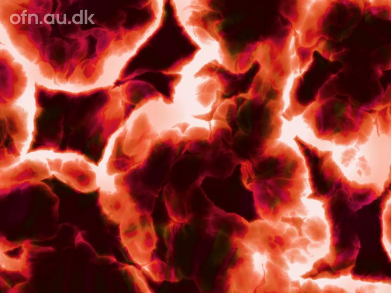 Styrk dit tarmmikrobiom og hold dig rask // livestream fra Aarhus Universitet