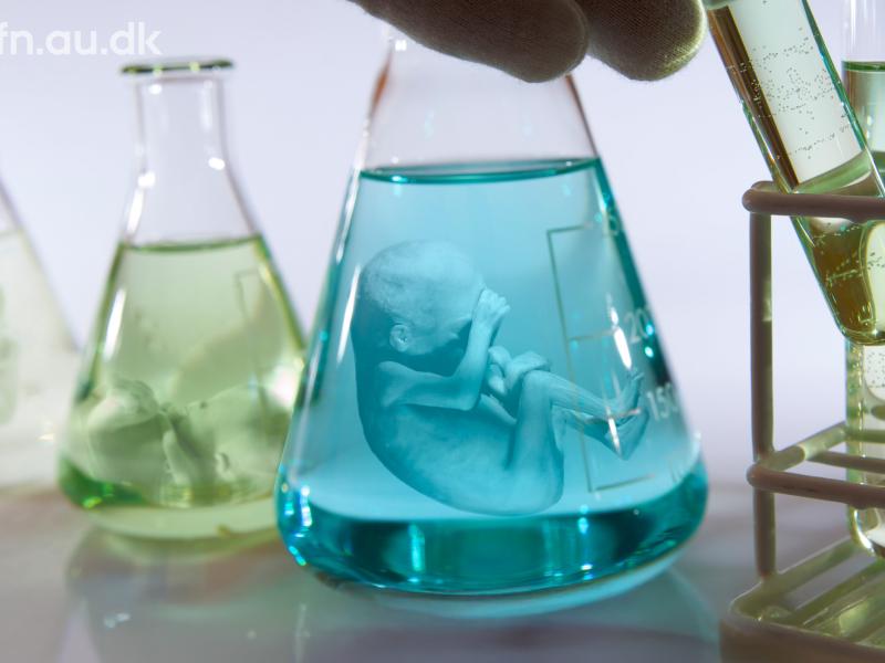 Forædlingen af mennesket – før og nu // livestream fra Aarhus Universitet